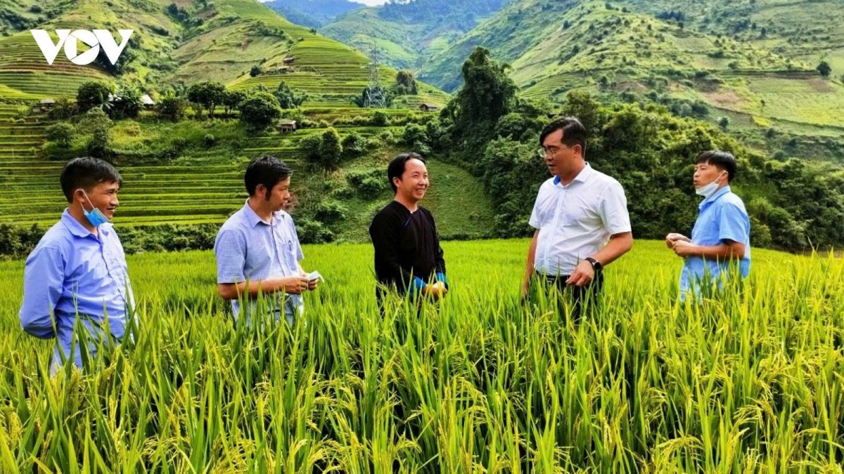 Circular agriculture - a must for Vietnam's green future